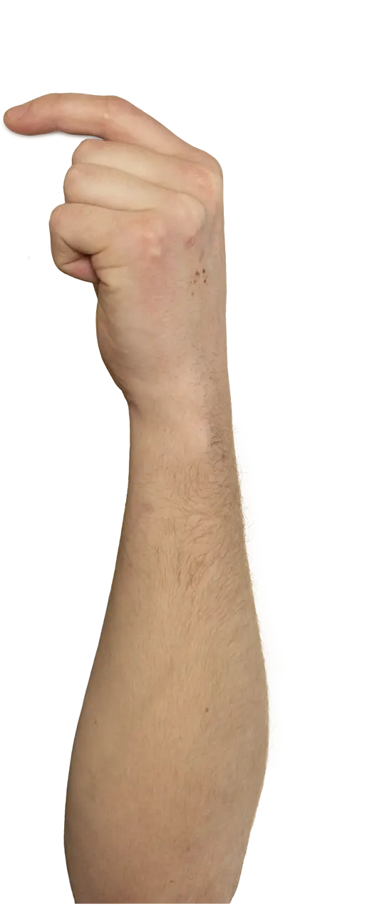[[mano]]